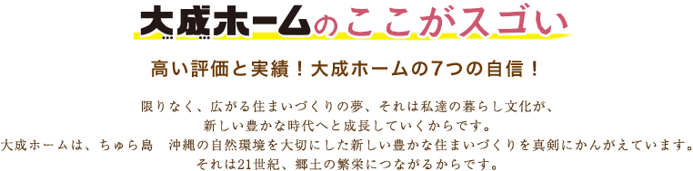 分譲住宅 かりゆしタウン